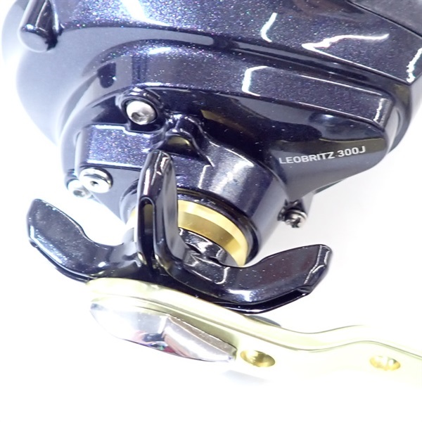 １５レオブリッツ３００Ｊ